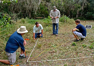 archaeological excavation image