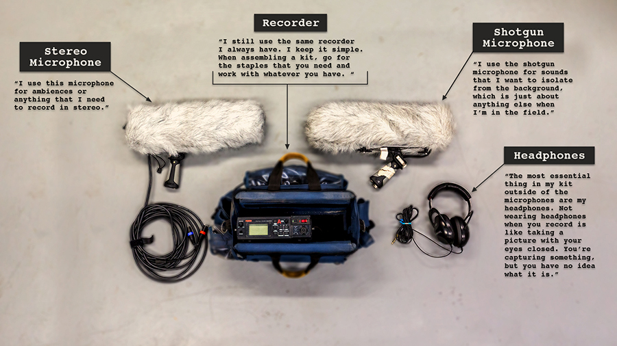 Best stereo. Field recording. Instruments in stereo field.