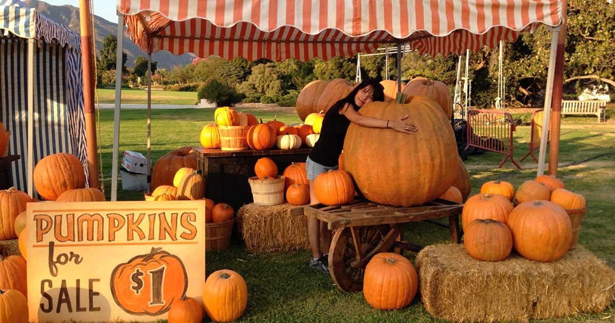 What’s Your Job? Set Decoration Coordinator The Hub